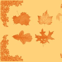 Autumn Leaf Brushset