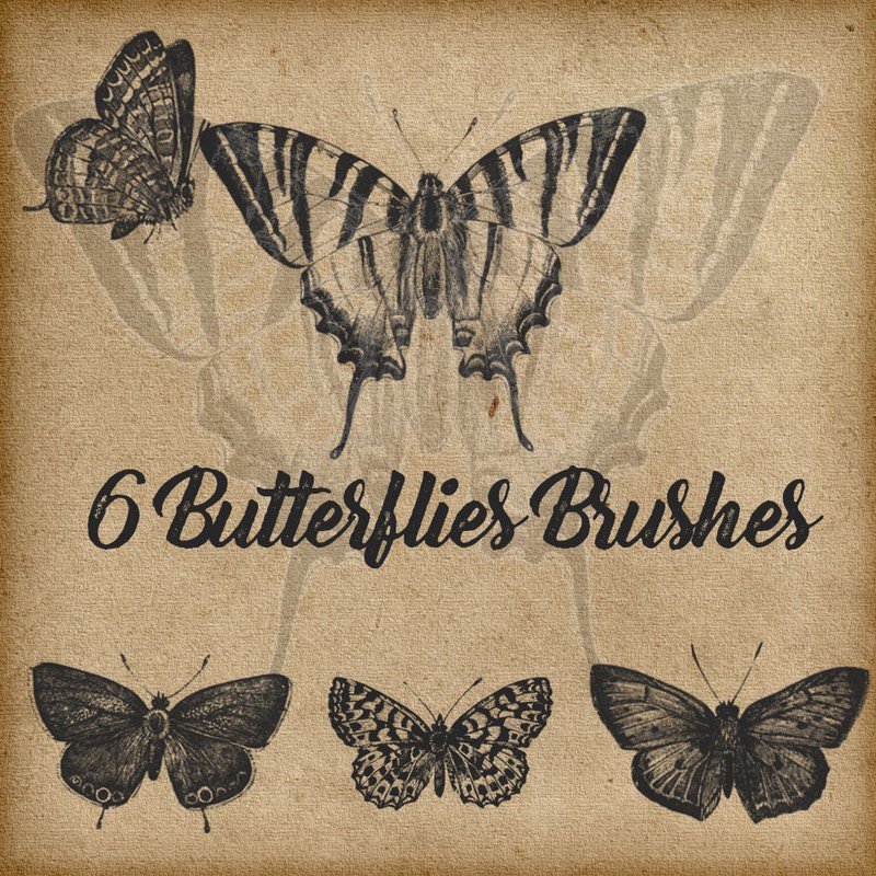 Photoshop brushes butterfly