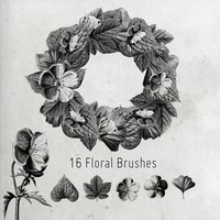16 Flower and Leaves Brushes
