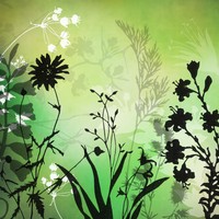 23 Free Plant Brushes