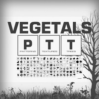 Vegetals Brushes
