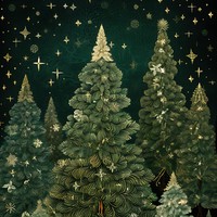 Enchanted Forest Night
